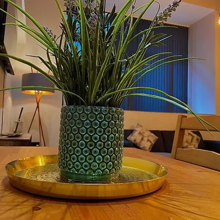 Artistic, Cozy, Stylish, Open Plan, Centre 1br アパート シェフィールド